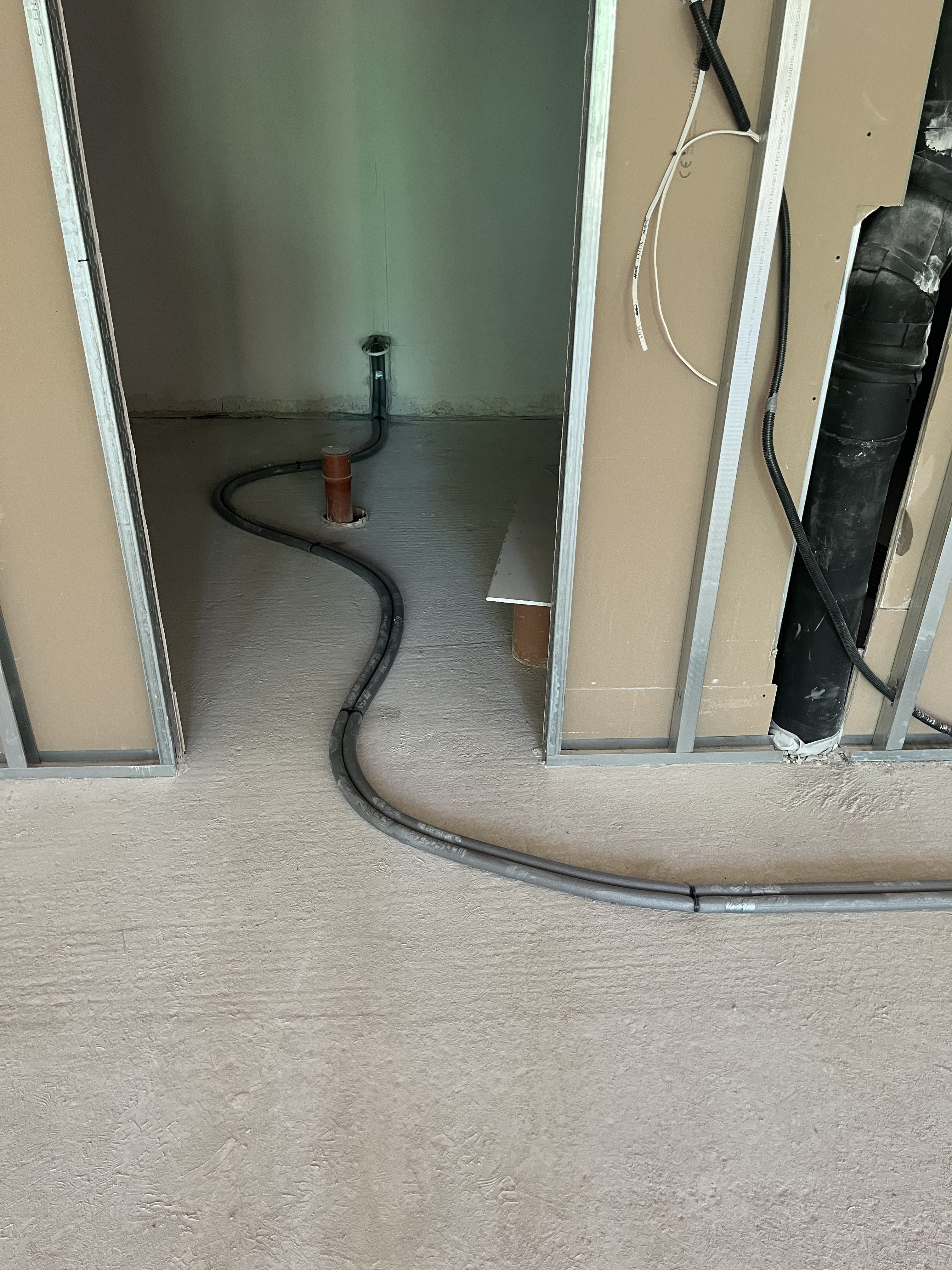 IMG_6949.jpg